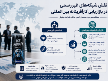 نقش شبکه‌های غیررسمی در بازاریابی کارآفرینانه بین‌المللی